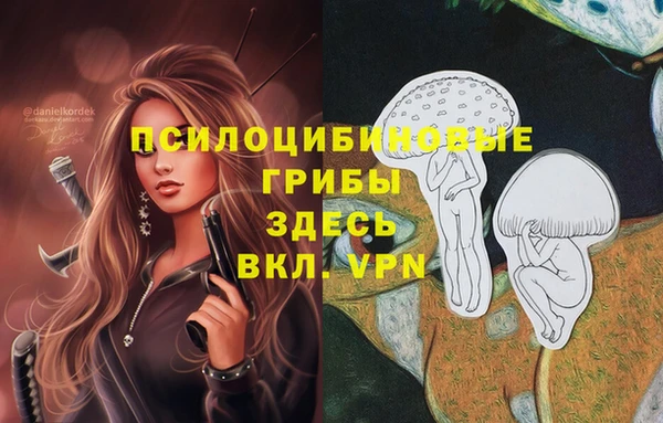 ешки Балахна