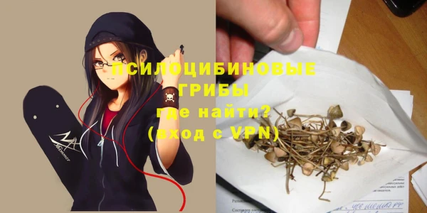спиды Белоозёрский