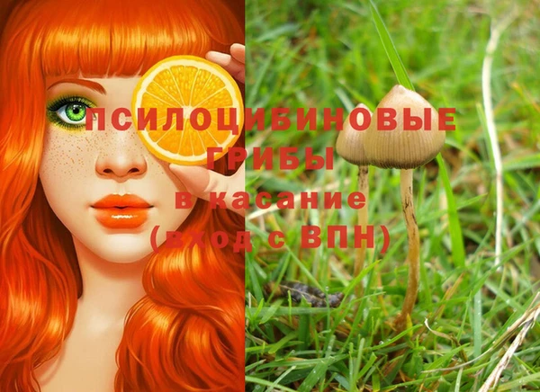 мдпв Балабаново