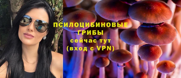 спиды Белоозёрский