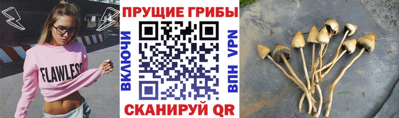 Псилоцибиновые грибы Psilocybine cubensis MEGA как зайти Эртиль